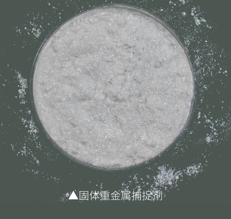 zhongjinshu04.jpg