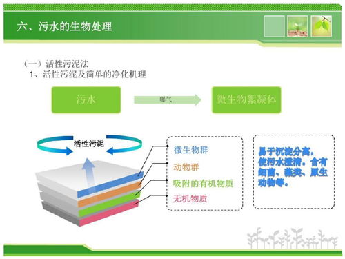污水处理的基本方法及处理流程
