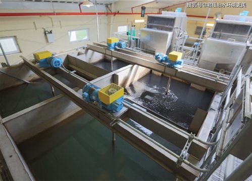 絮凝效果怎么检测