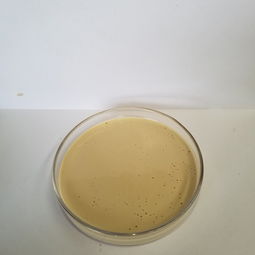 葡萄糖酸钠缓凝剂掺量范围