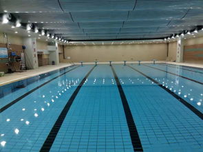 泳池水处理药剂有哪些