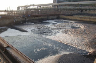 腾冲养殖废水处理(海水养殖废水处理技术)(图2) 海水养殖废水处理技术