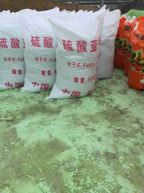 硫酸亚铁可以用什么代替(家里没有硫酸亚铁用什么代替)(图2) 家里没有硫酸亚铁用什么代替
