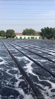 东莞废水处理整改(东莞市零散工业废水管理平台)(图2) 东莞市零散工业废水管理平台