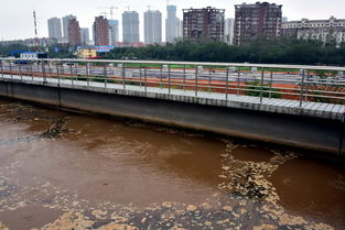泰国废水处理市场(宁波污水处理环保工程有限公司)(图2) 宁波污水处理环保工程有限公司