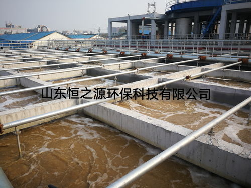 皮革厂造成的污染主要是水源污染吗