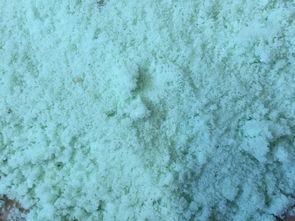 硫酸铜与硫酸亚铁(硫酸铜与硫酸亚铁在水产中的应用)(图3) 硫酸铜加硫酸亚铁的杀虫效果