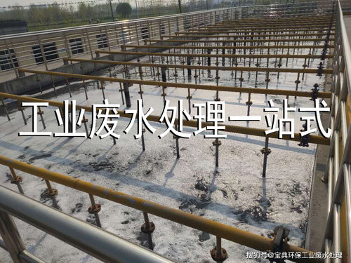 造纸废水主要的污染物是什么