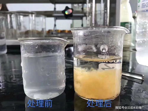 污水处理絮凝剂
