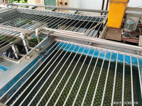 污水处理药剂使用单耗计算公式