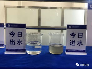 济南污水处理厂药剂价格