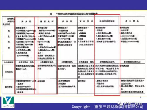 污水处理药剂生产厂家有哪些